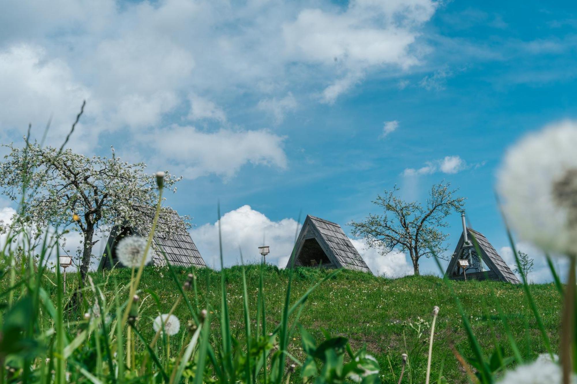 Eko Glamping Resort Kristof Cerklje na Gorenjskem Buitenkant foto
